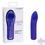 RavenFlutter - Purple - Image 2